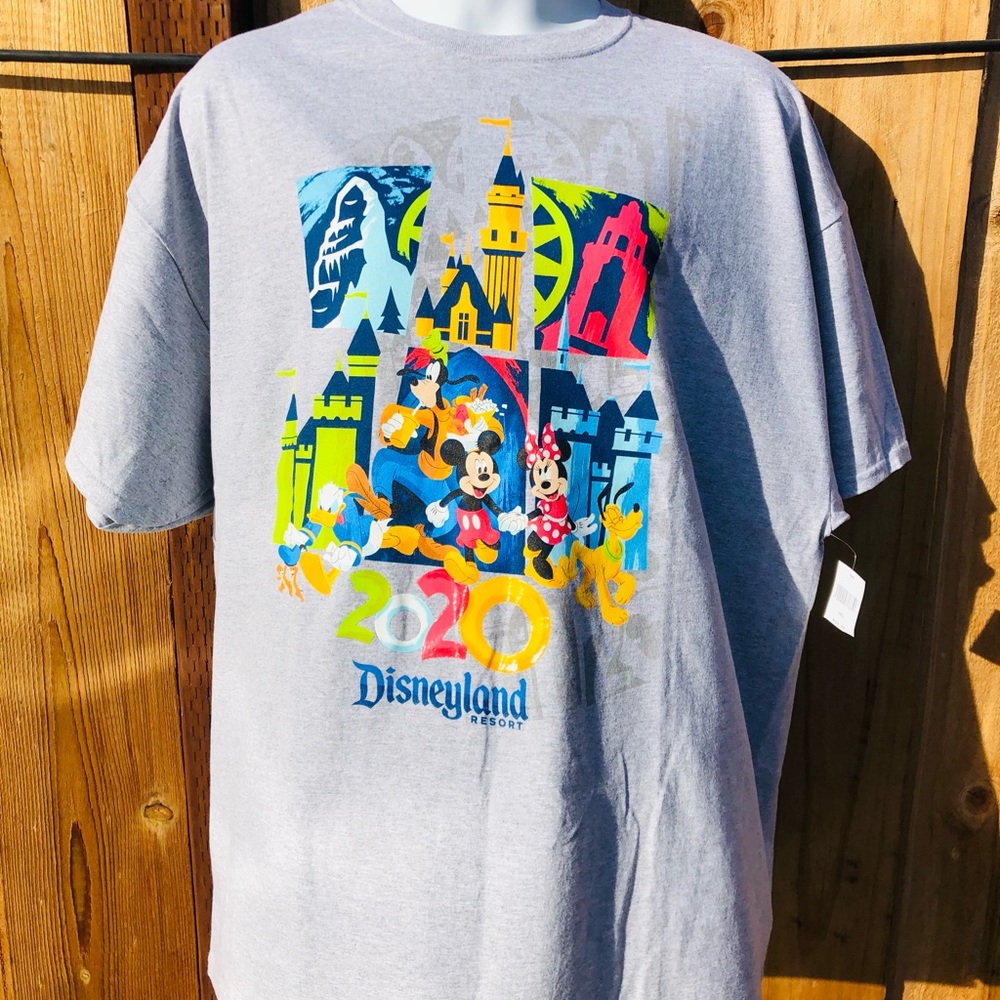 Disneyland Resort 2020